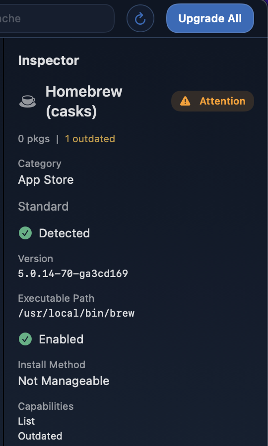 Inspector sidebar showing package or manager detail.