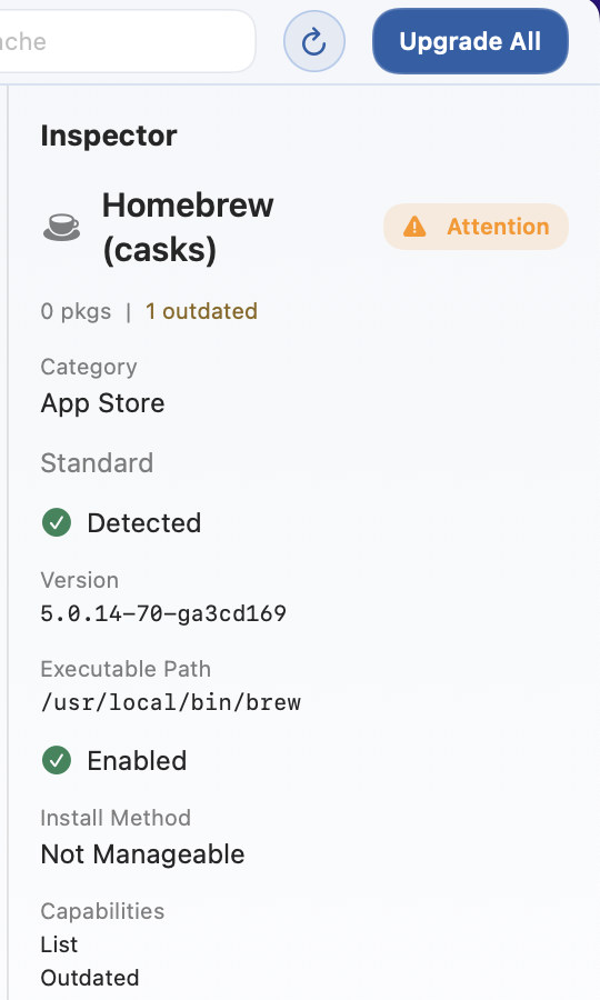 Inspector sidebar showing package or manager detail.